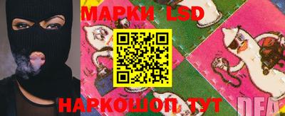 прущие грибы Новокубанск
