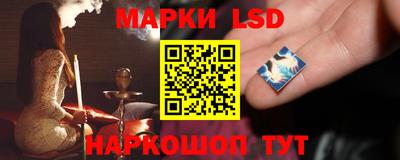 ECSTASY Новозыбков