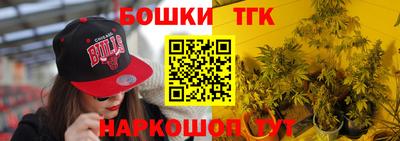 СК Обь