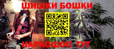 СК Обь