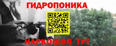 прущие грибы Новокубанск