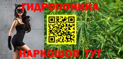 прущие грибы Новокубанск