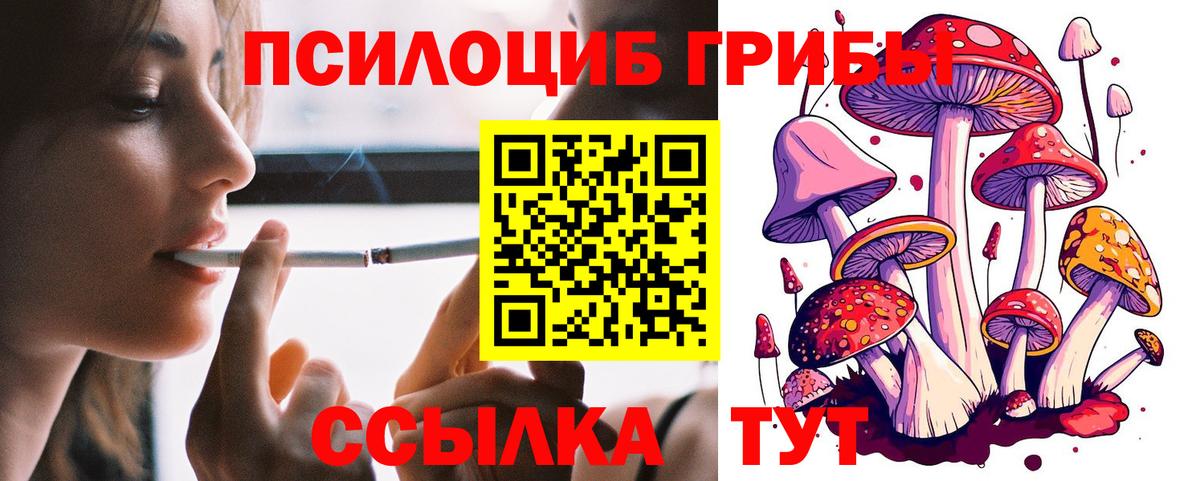 Псилоцибиновые грибы ЛСД  Вход с VPN  Псилоцибиновые грибы мицелий  Тайшет 